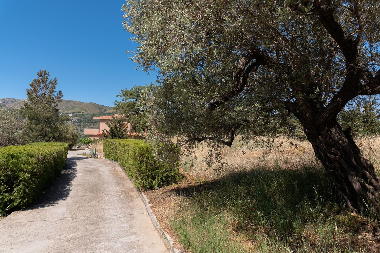 Outdoor area of Eleonas Estate's villa on the island of Crete, Greece