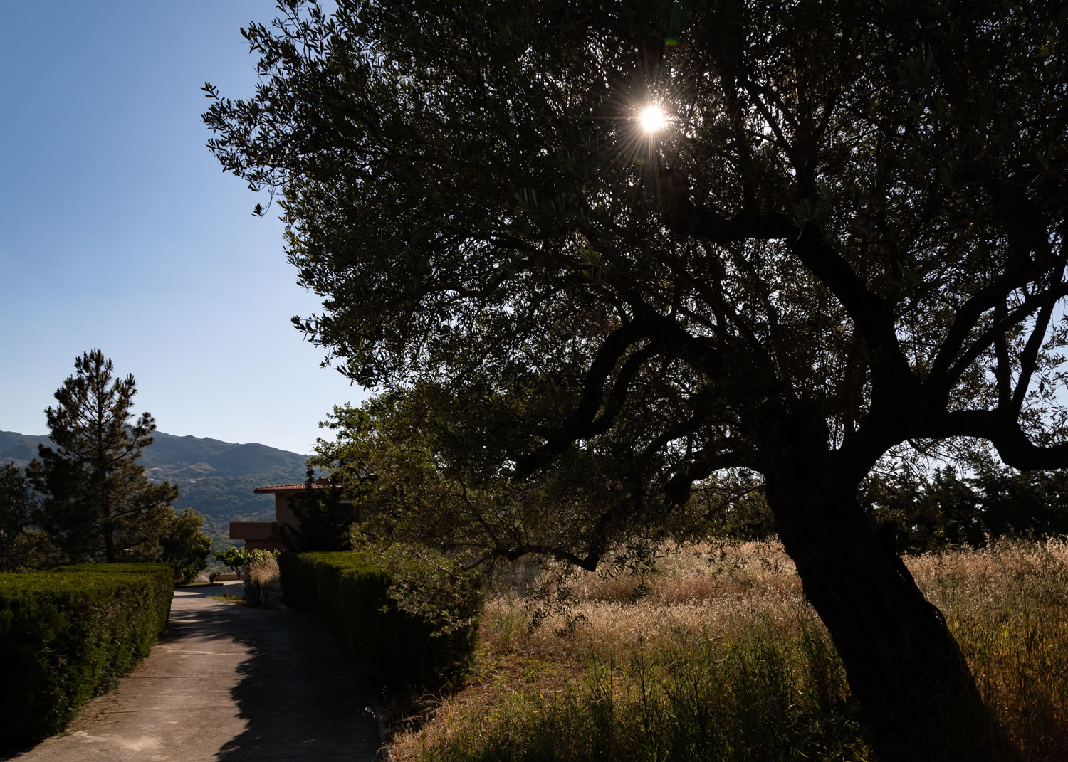 Outdoor area of Eleonas Estate's villa on the island of Crete, Greece